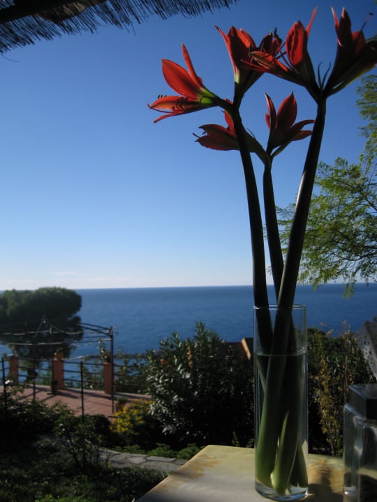 Vom Frühstückstisch aus Bed & Breakfast La Mimosa del golfo