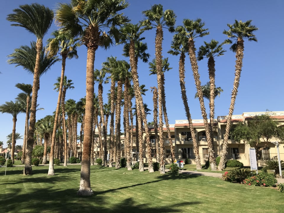 Gartenanlage Beach Albatros Resort