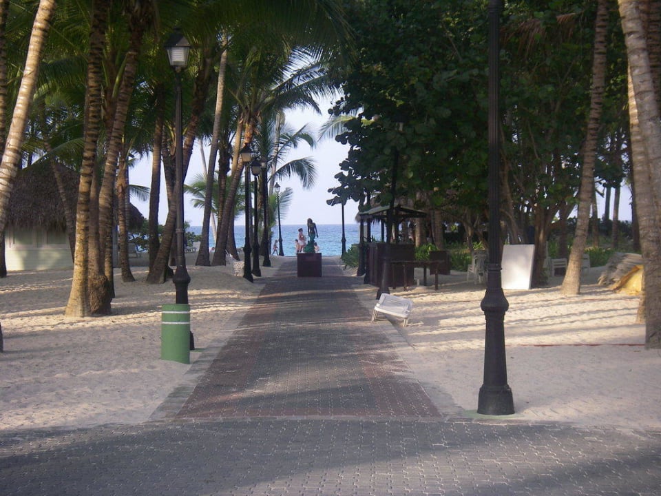 Der Weg zum Strand Hotel Riu Palace Macao - Adults only