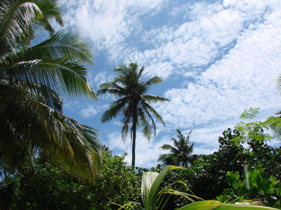 Im Paradies - wunderschöne Anlage Constance Halaveli Maldives