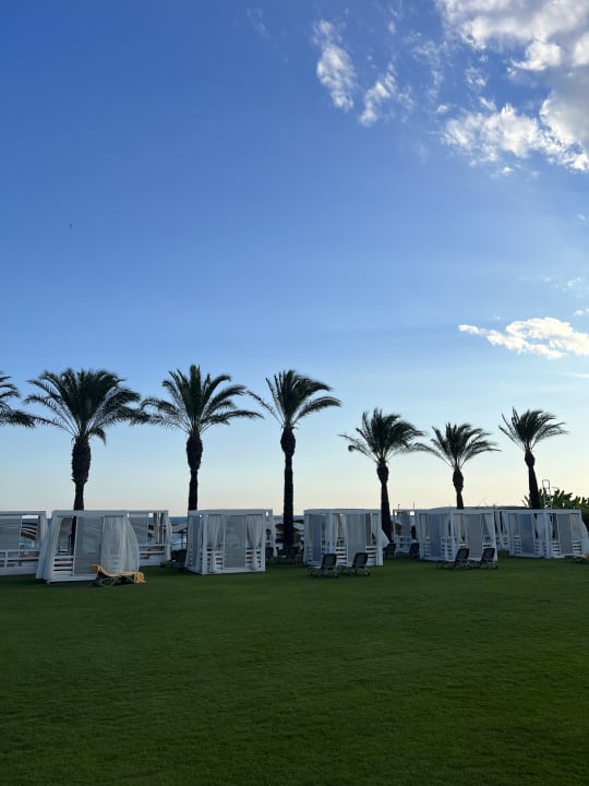 Außenansicht Papillon Ayscha