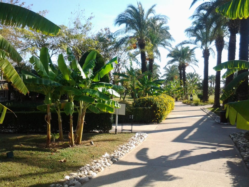 Weg zum Strand IC Hotels Green Palace