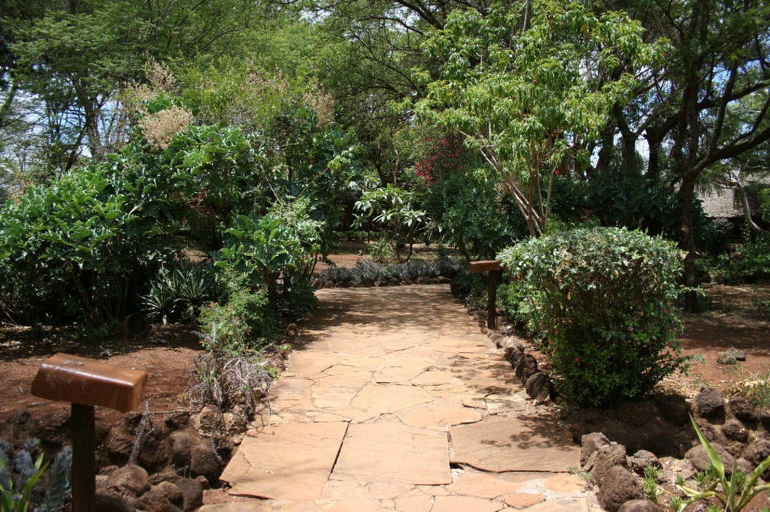 Ogród Hotel Amboseli Sopa Lodge