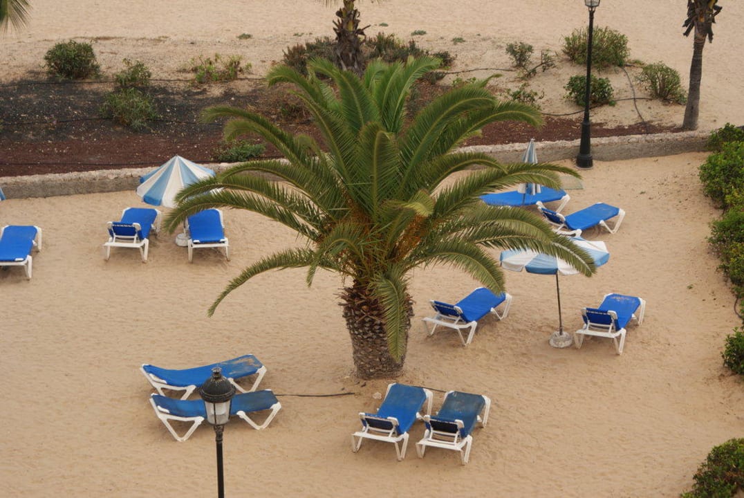 Leżaki przy plaży (hotelowe) SBH Crystal Beach Hotel & Suites