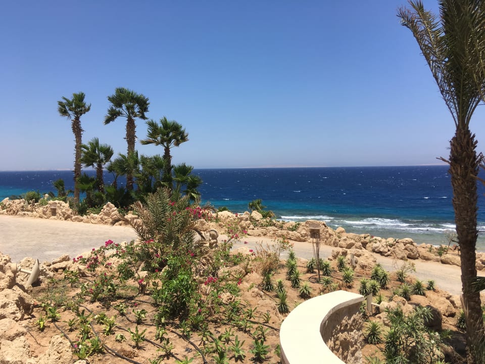 Gartenanlage Pickalbatros Citadel Resort