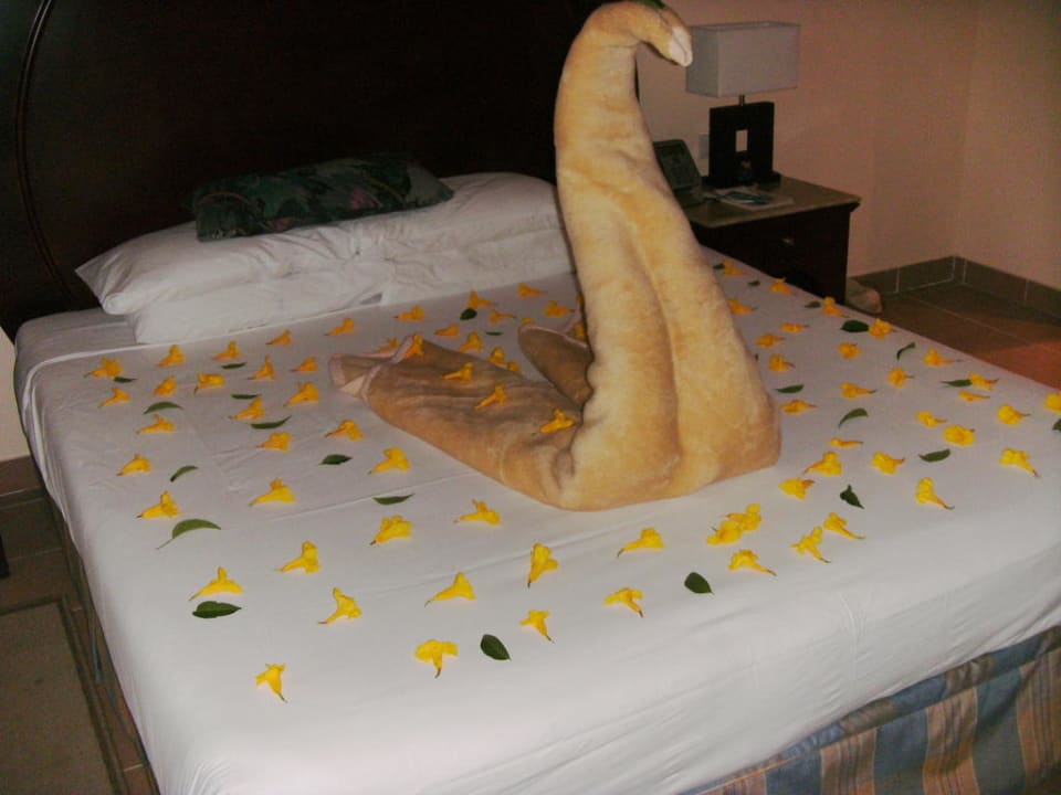 Deckenschwan Stella Beach Resort & Spa Makadi Bay