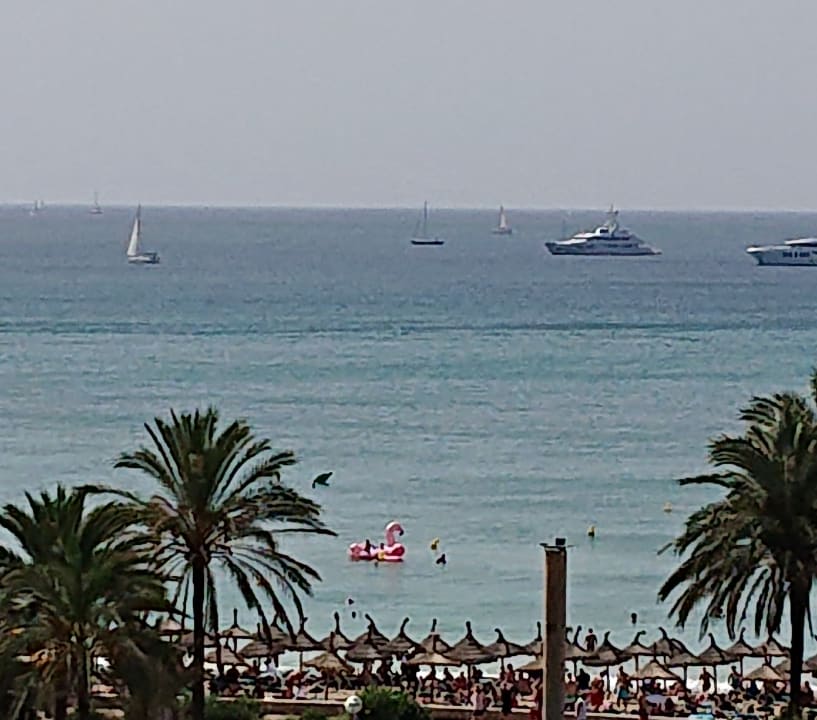 Ausblick Aparthotel Houm Plaza Son Rigo