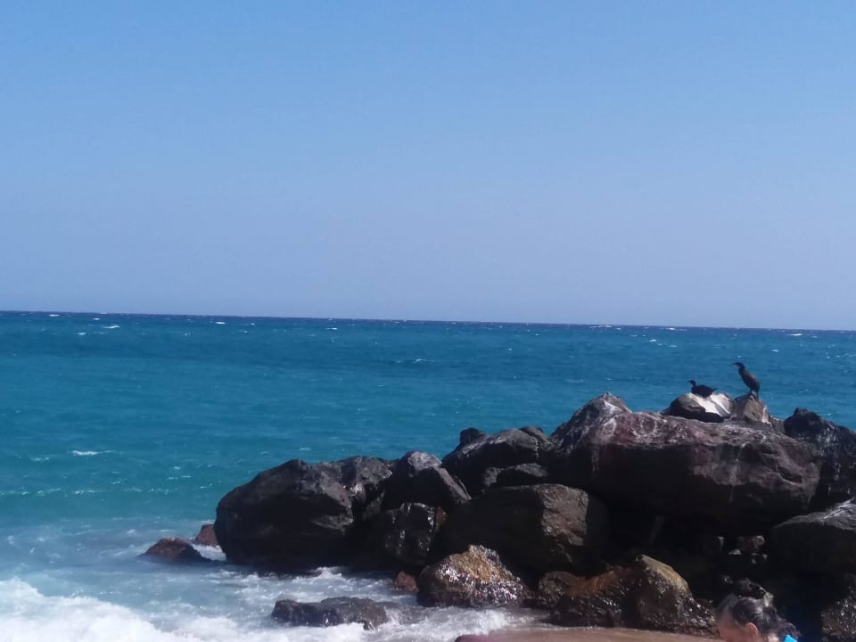 Widoki CAPRICI BEACH HOTEL & SPA