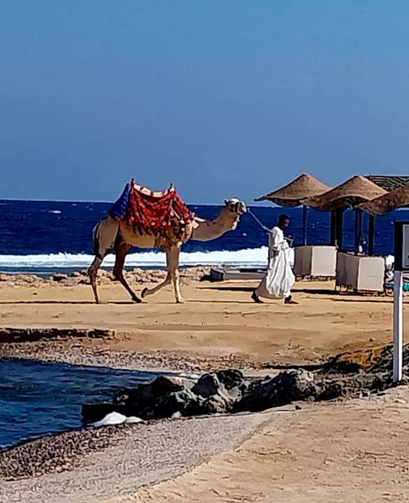 Ausblick Radisson Blu Resort, El Quseir
