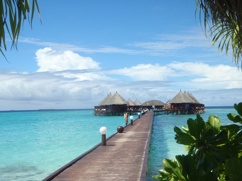 Wasserbungalows vom Strand aus gesehen Angaga Island Resort