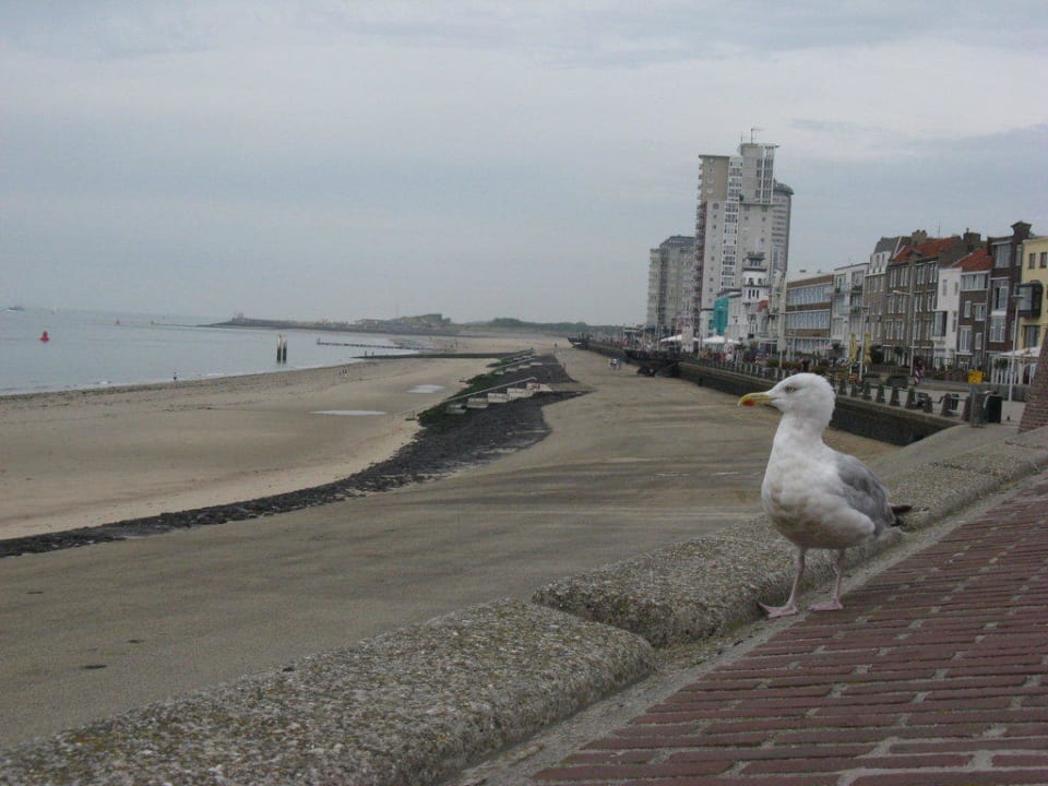 Uferpromenade Hotel De Ruyter
