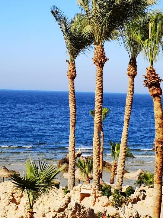 Strand Pickalbatros Citadel Resort