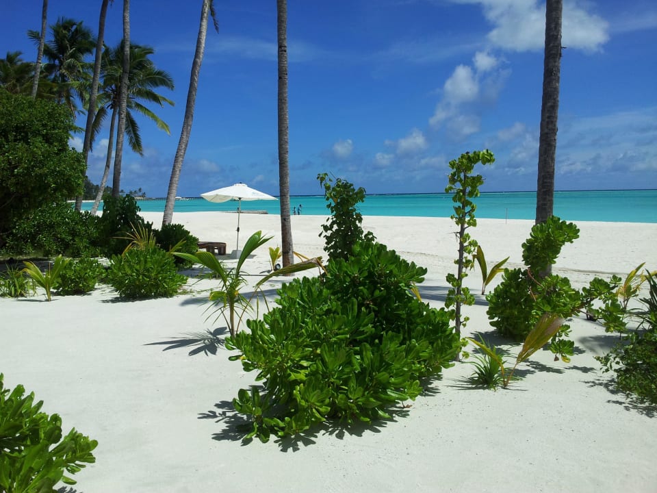Blick von unserer Villa Atmosphere Kanifushi Maldives