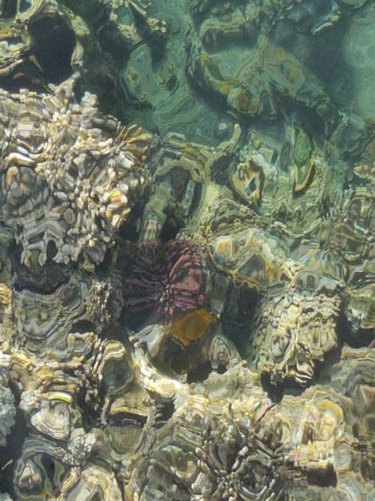 Sport & Freizeit Cleopatra Luxury Resort Makadi Bay