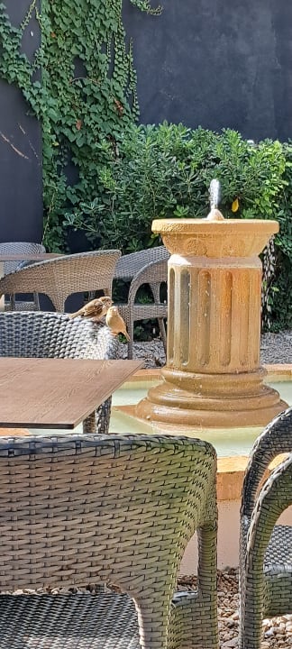 Sonstiges R2 Lago Playa Park