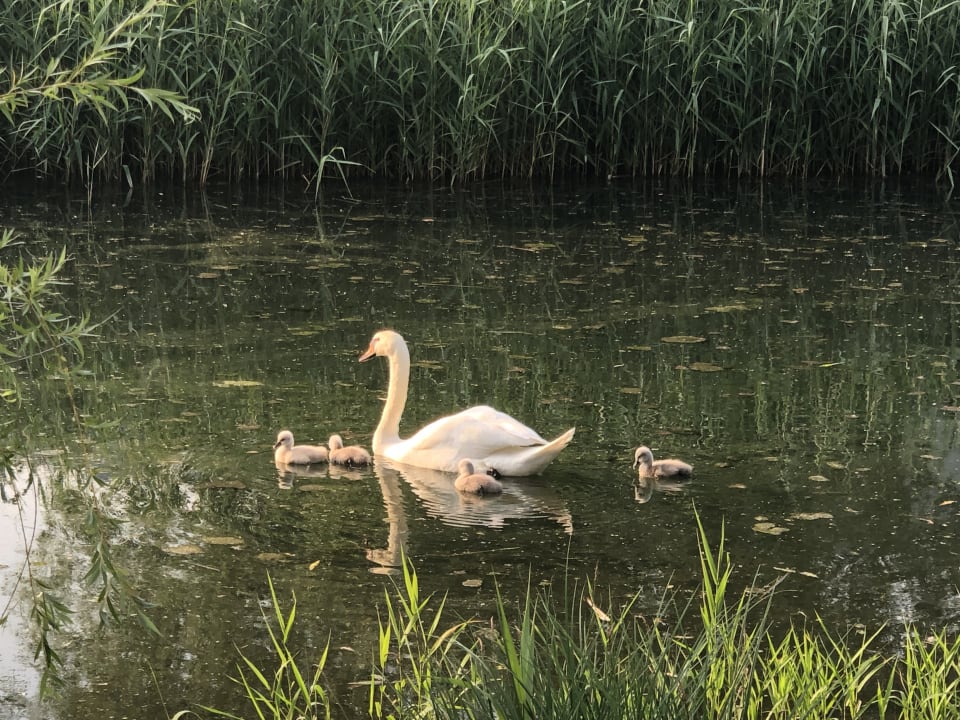 Sonstiges Costa Verde Natura