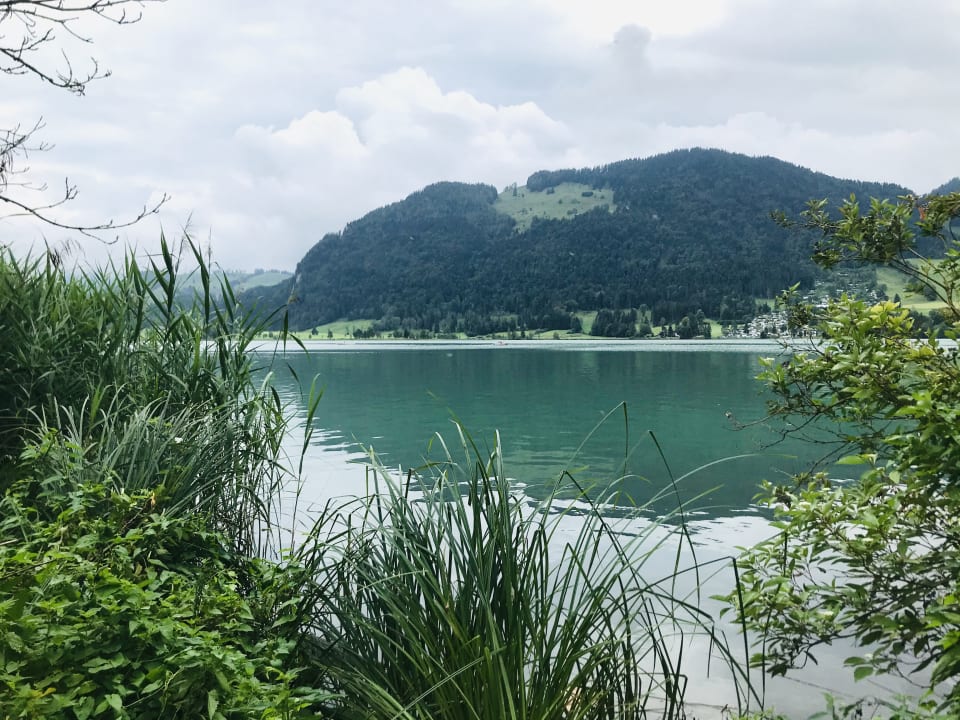 Ausblick Hotel Bellevue am See