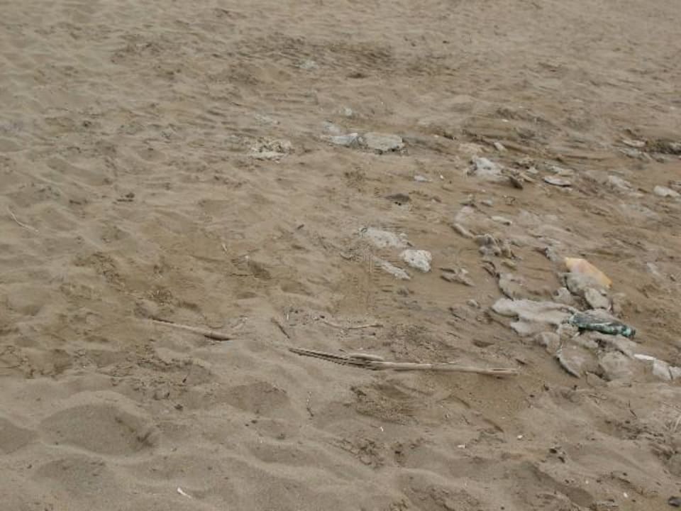 Strand am Hotel Sandy Beach Resort