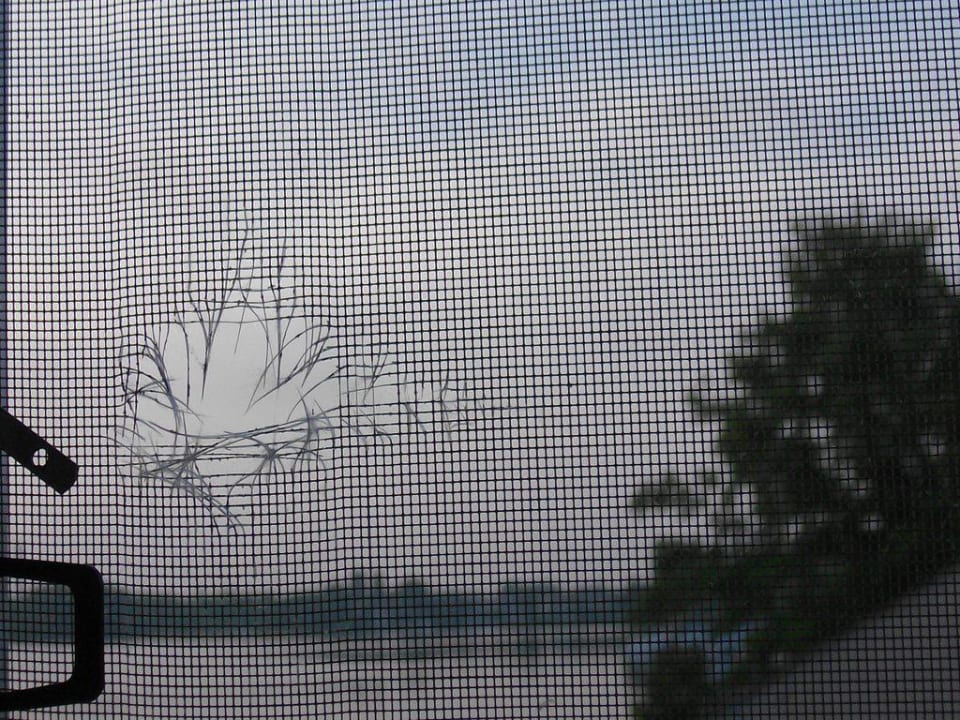 Ausblick vom Zimmer Hotel Schloss Köpenick by Golden Tulip