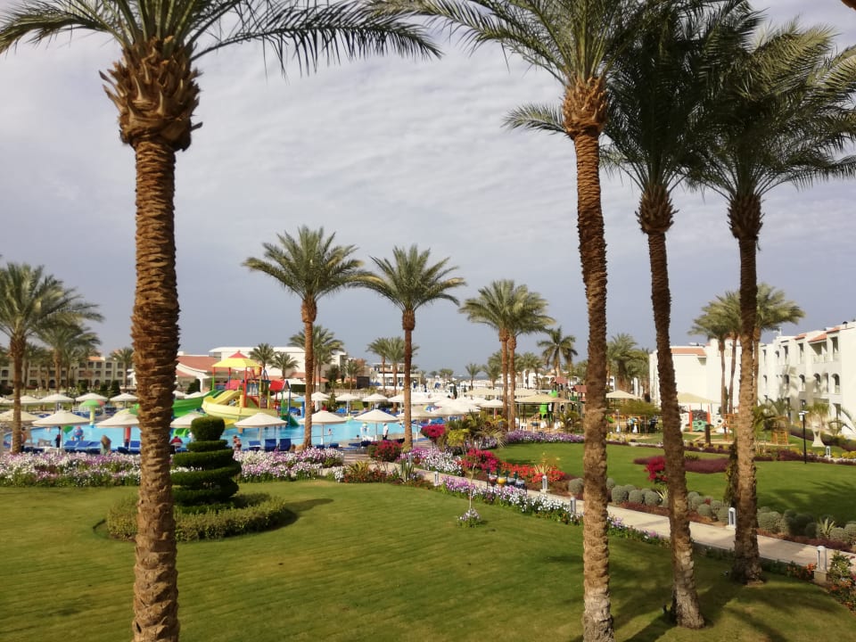 Ausblick Pickalbatros Dana Beach Resort - Hurghada