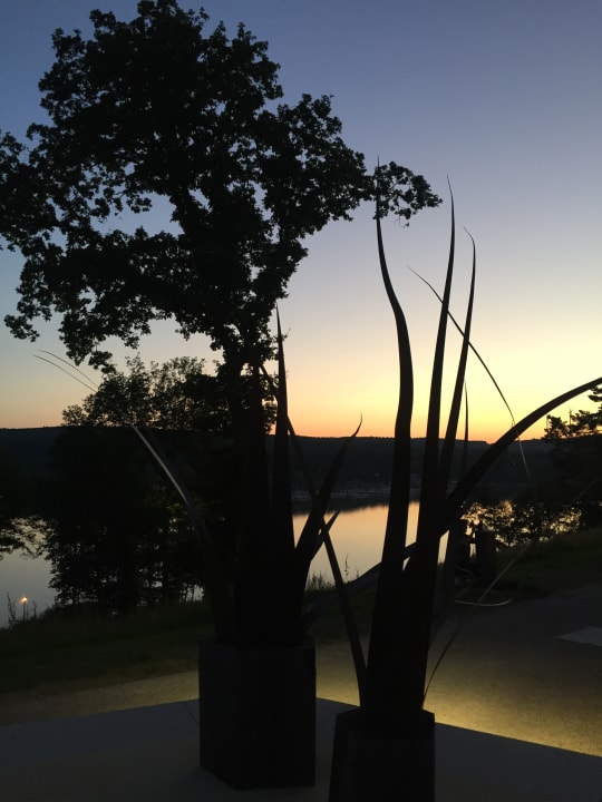 Gartenanlage Seezeitlodge Hotel & Spa