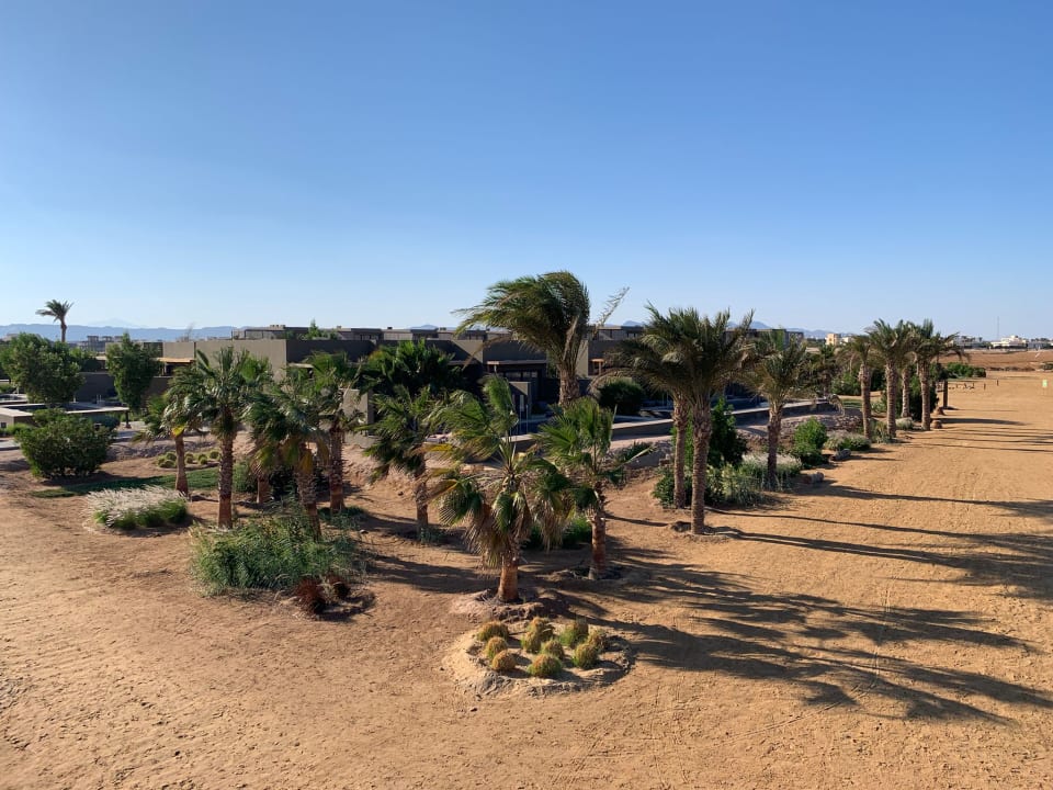 Außenansicht Casa Cook El Gouna - Adults Only