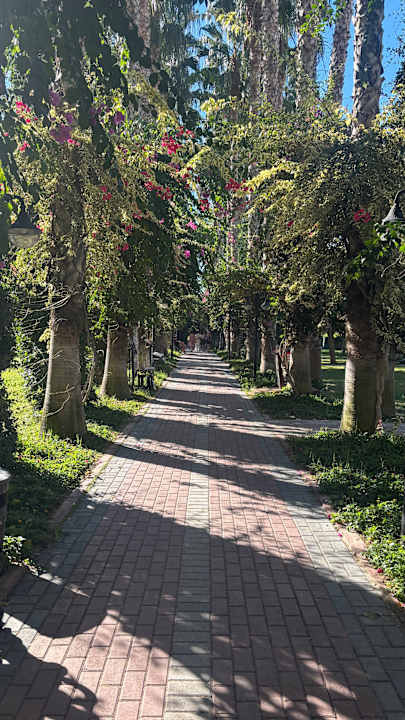 Gartenanlage Hotel Gardenia Beach