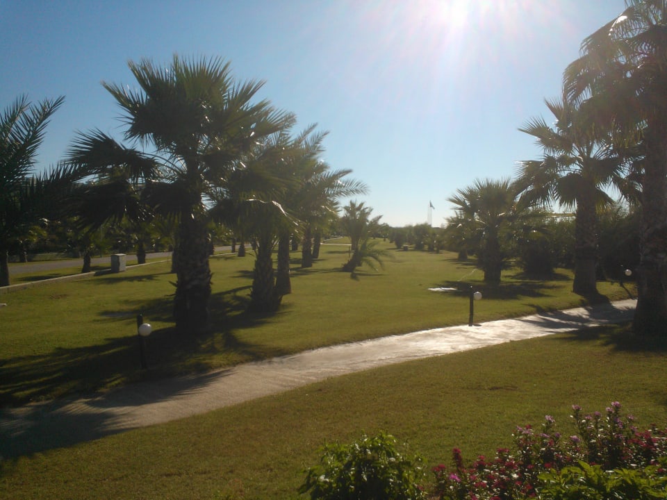 Oase am Strand  VONRESORT Golden Beach