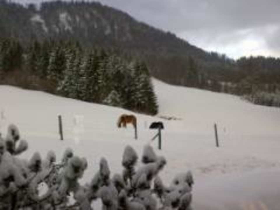 Idylle Ferienwohnung Almstüberl