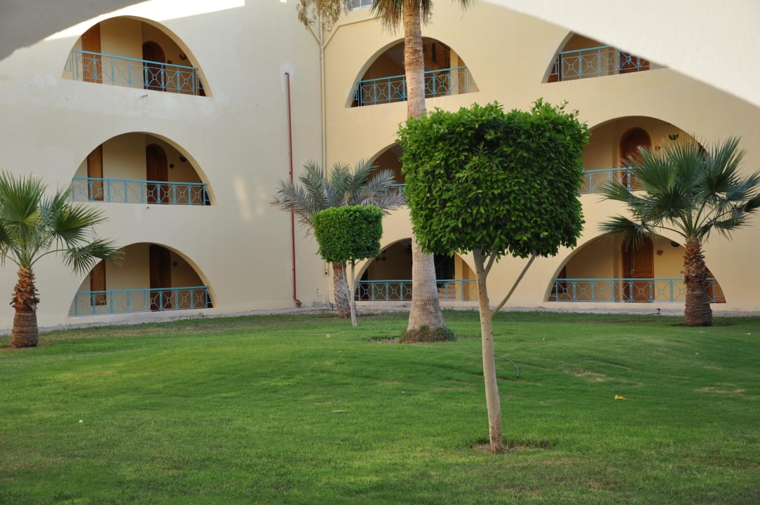 Innenhof meines Gebäudes Desert Rose