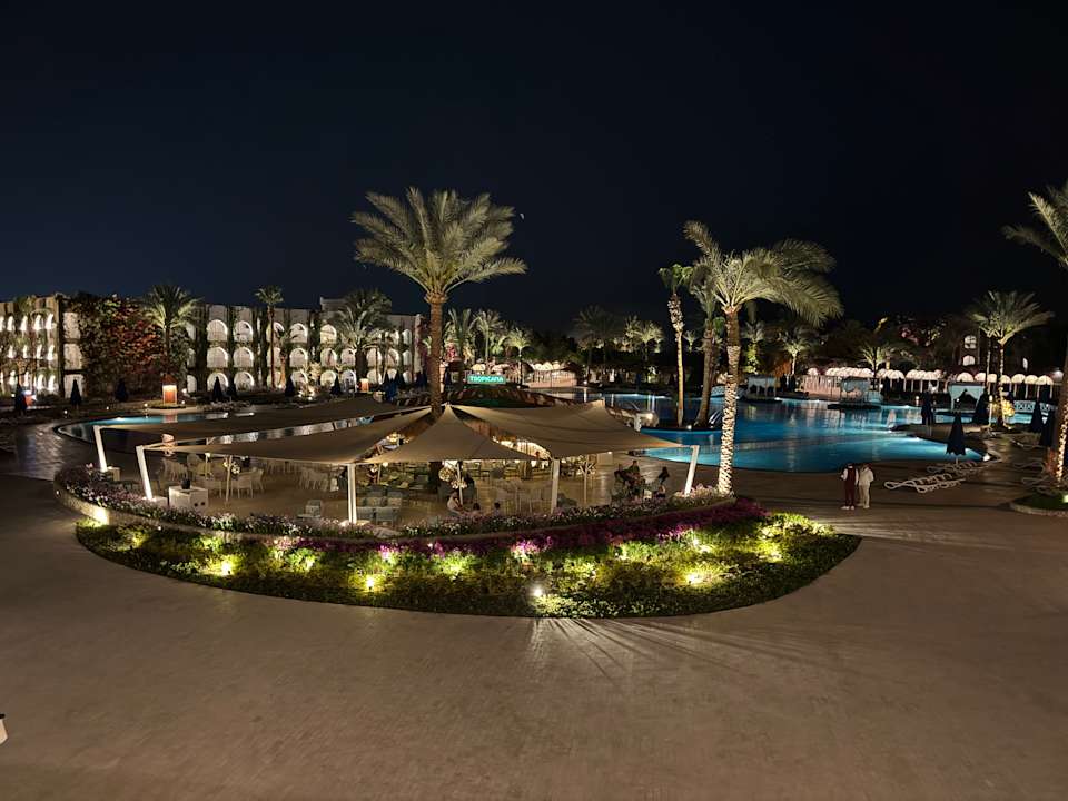 Gartenanlage Desert Rose