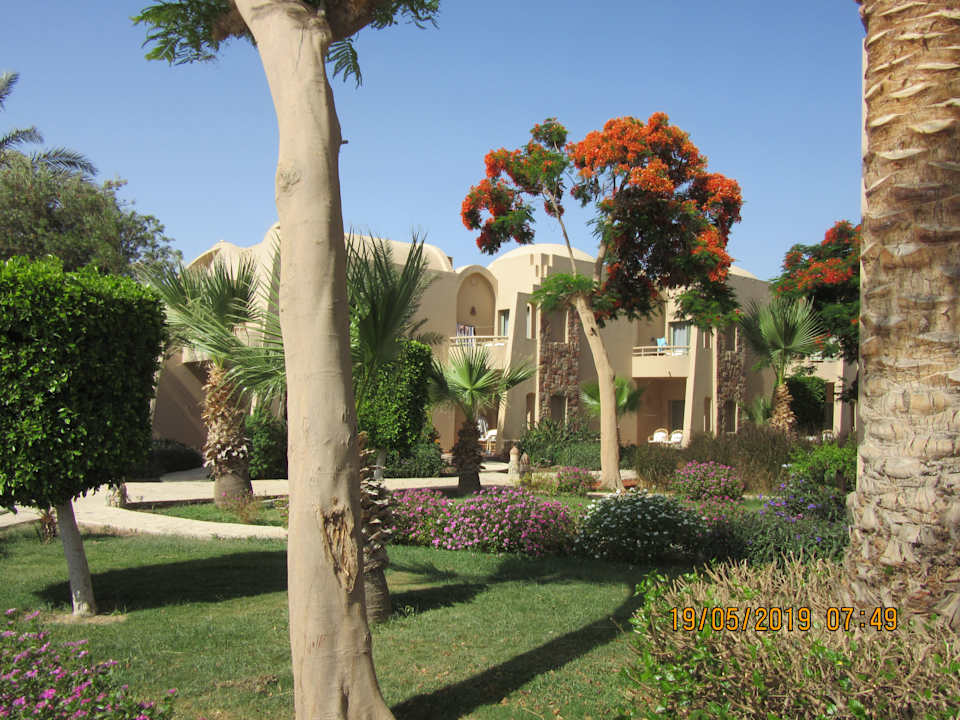 Garten Shams Alam Beach Resort