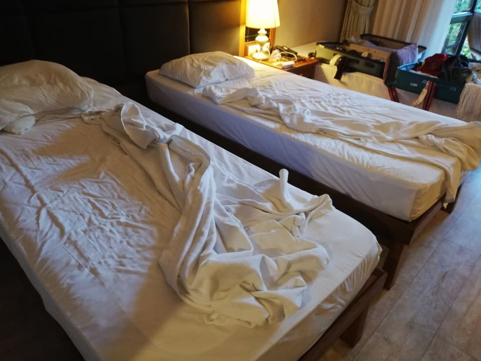 Zimmer Asteria Family Belek