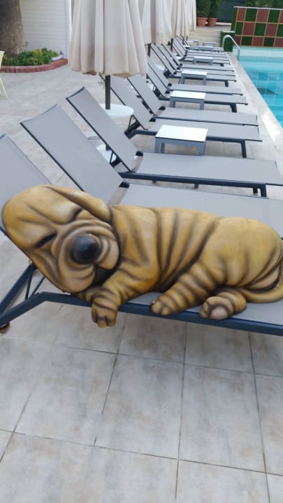 Pool erst ab 18! Side Star Elegance