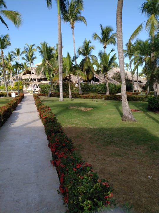 Gartenanlage Hotel Viva Dominicus Beach by Wyndham - All Inclusive Resort
