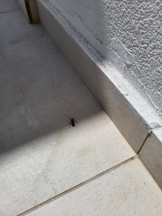 Sonstiges Paralos Kyma Dunes