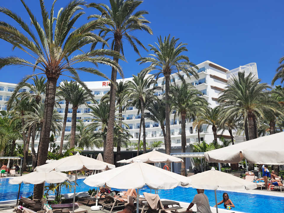 Pool Hotel Riu Palace Palmeras