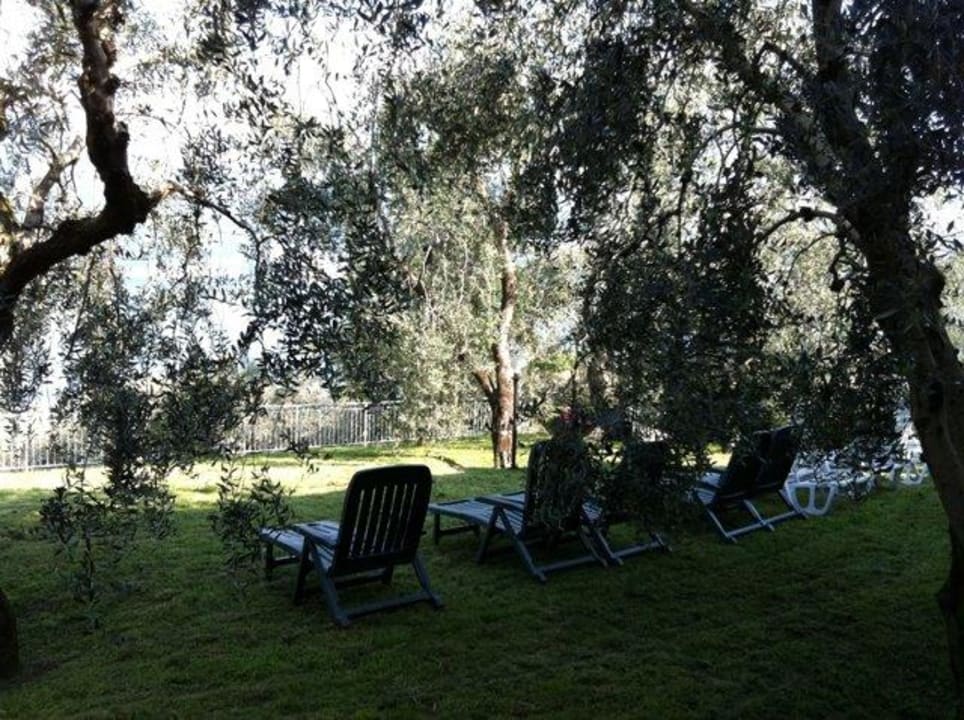 Garten Agriturismo Uliveta