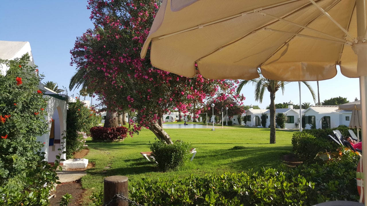 Blick vom Pool Club Maspalomas Suites & SPA