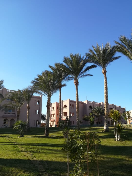 Außenansicht Pickalbatros Aqua Vista Resort - Hurghada
