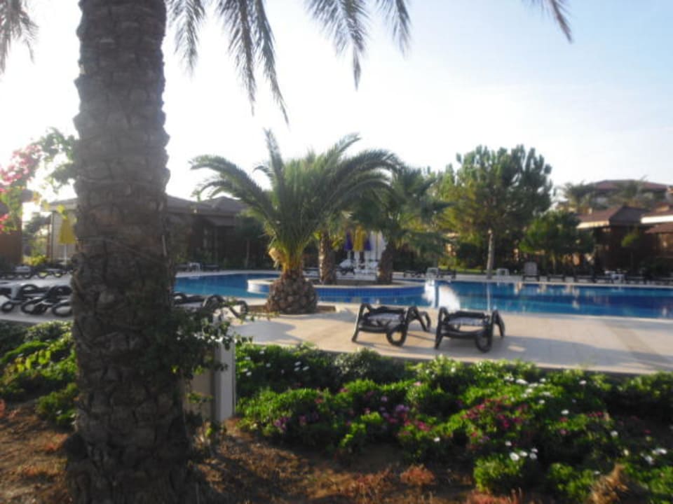 Relaxpool Calimera Serra Palace