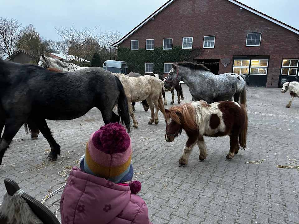 Sport & Freizeit Ferienwohnungen Traberhof