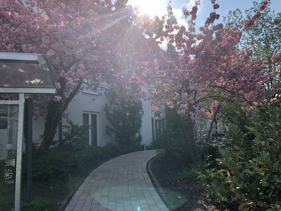 Außenansicht Welcome Hotel Bad Arolsen