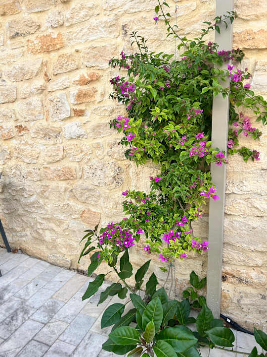 Gartenanlage RG Village Crete Hotel & Spa Resort