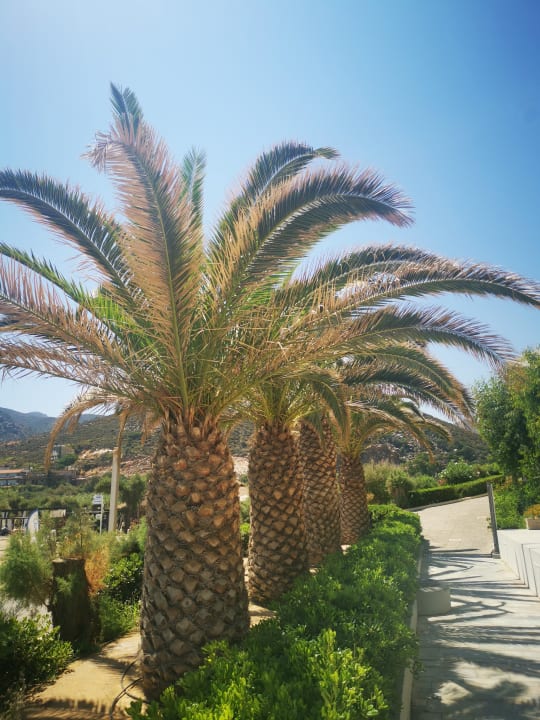 Gartenanlage Fodele Beach & Water Park Holiday Resort