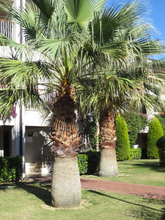 Zwischen den Villen Sunis Elita Beach Resort & Spa