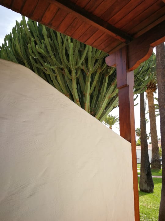 Ausblick HL Miraflor Suites Hotel