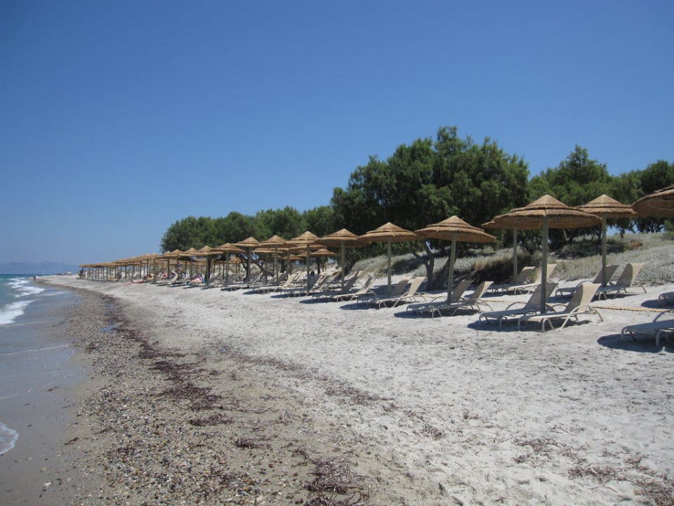 Alles neue Liegen TUI BLUE Palazzo del Mare