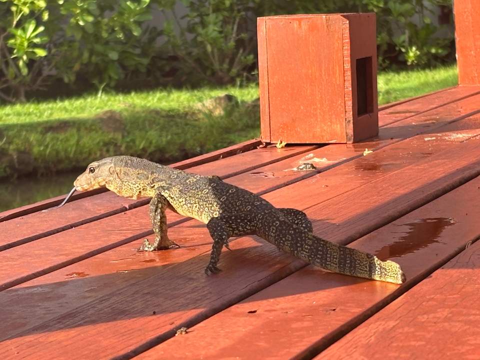 Gartenanlage Khaolak Laguna Resort