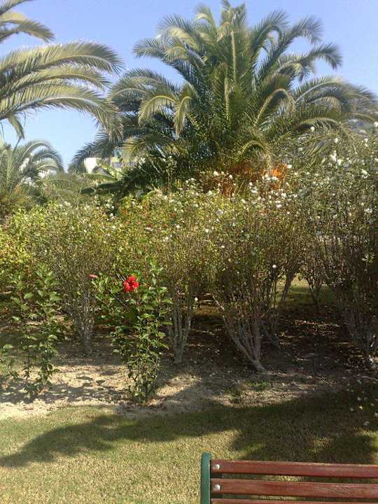 Gartin VONRESORT Golden Coast